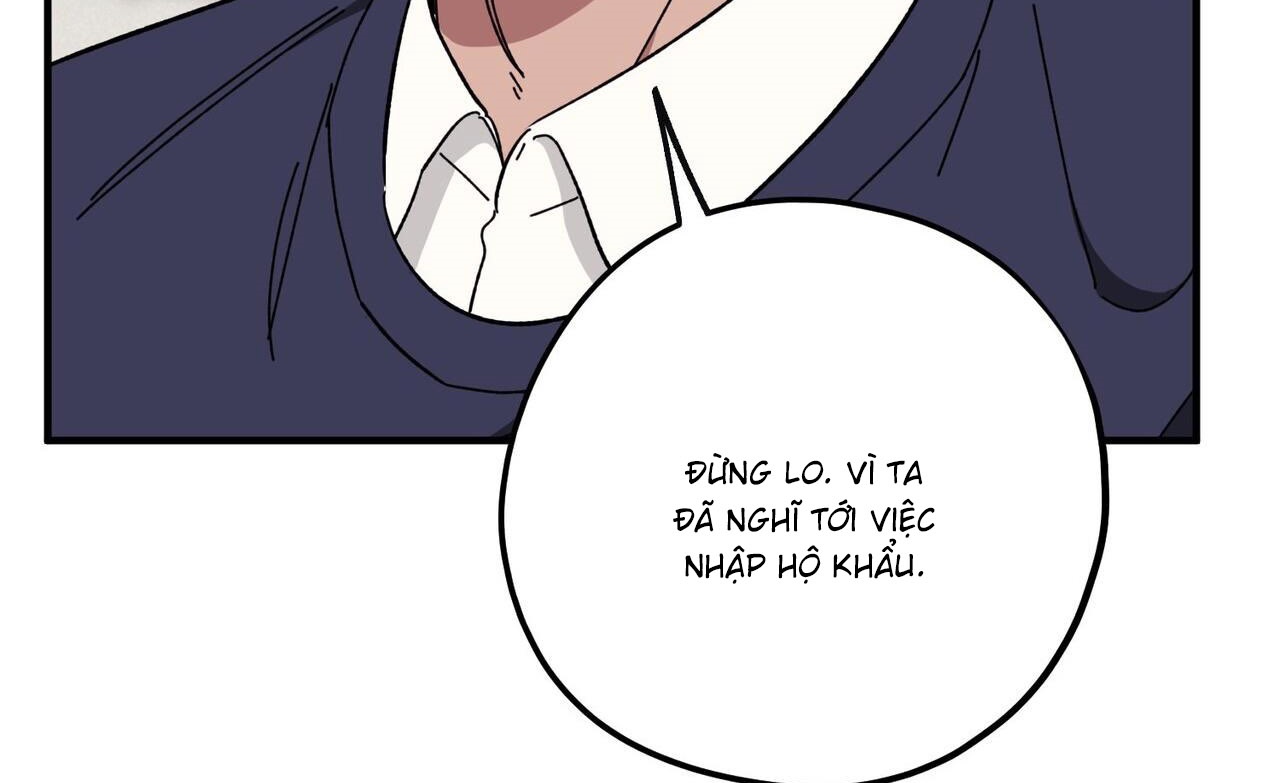 chàng dâu nhà họ kang chapter 37 171