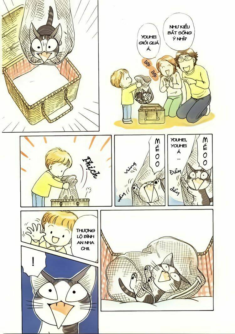 chi's sweet home chapter 37 8