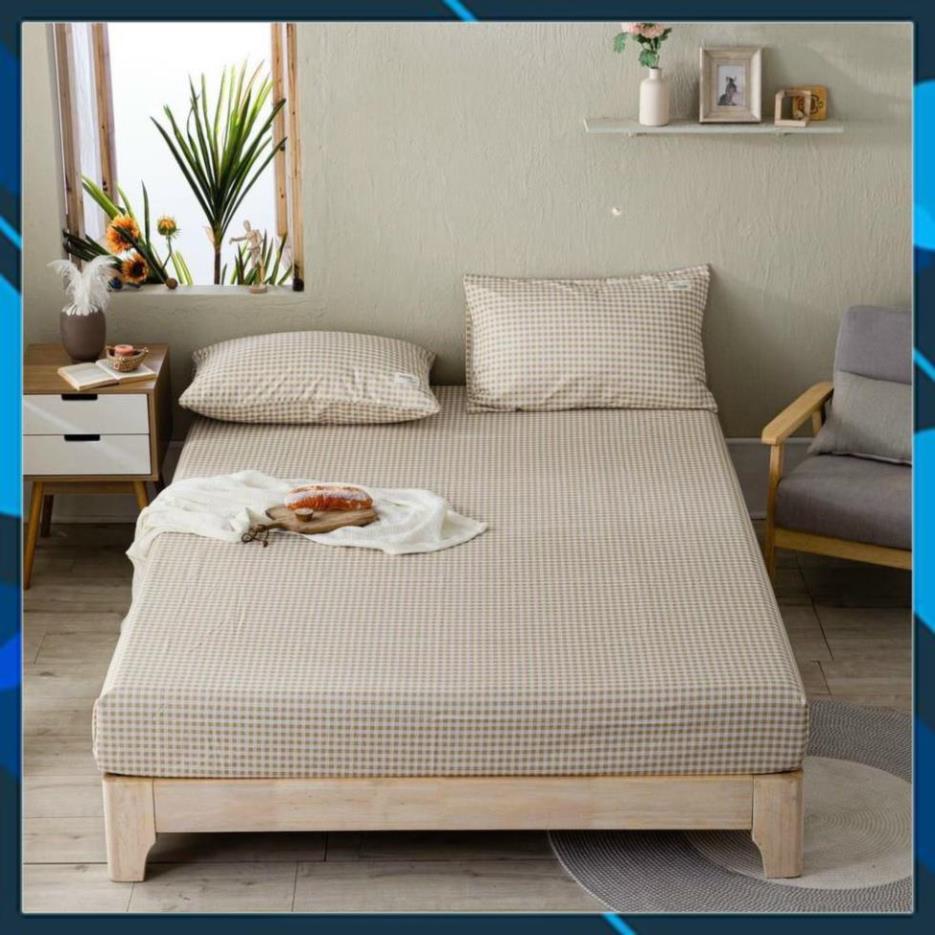 Bộ ga giường và vỏ gối cotton tici kẻ - set ga gối cotton - drap giường