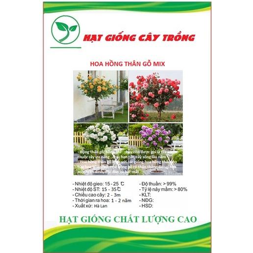 Hạt giống hoa hồng thân gỗ nhiều màu CT241 - Gói 10 hạt