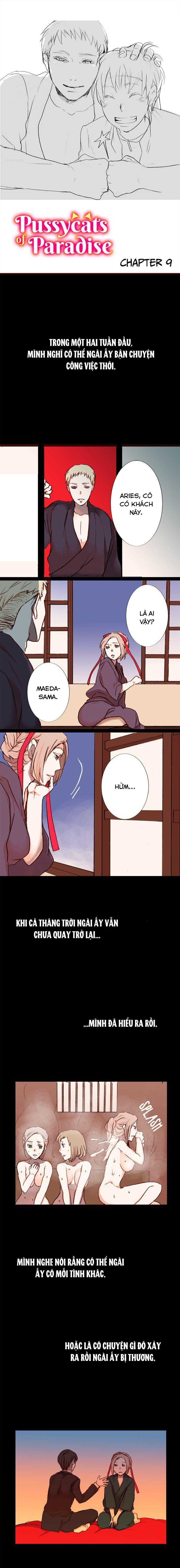 chú mèo đến từ thiên đường chapter 9.1 2