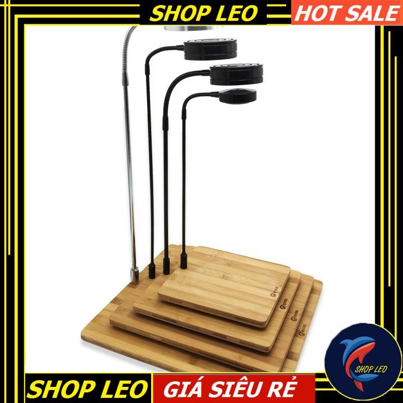 Đèn Led Kệ gỗ BamBoo 5W - Đèn đế gỗ
