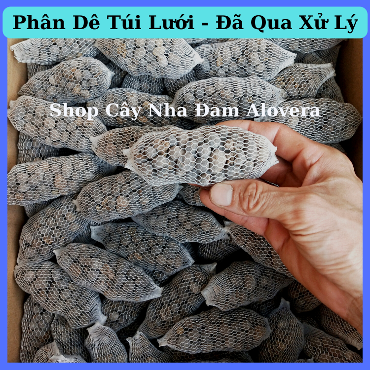 Phân Dê Túi Lưới Bón Lan, Cây Kiểng Đã Qua Xử Lý