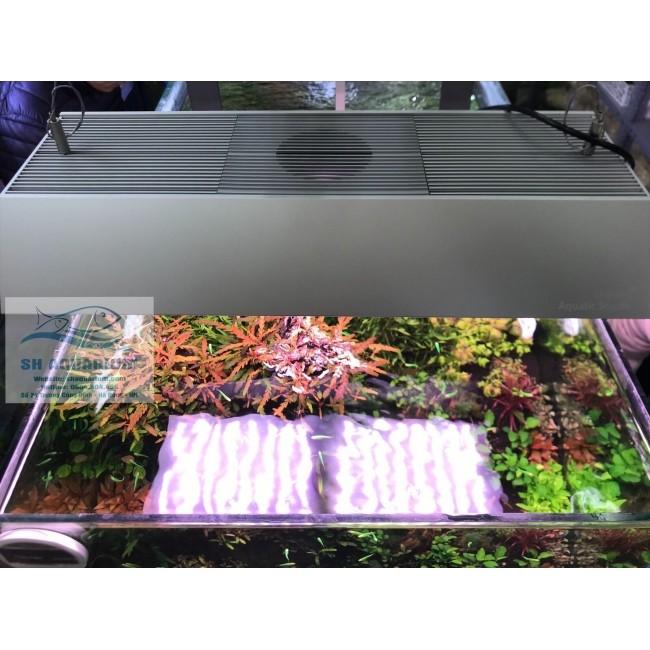 TẤM CHẮN SÁNG CHO ĐÈN VIVID 2, WRGB2