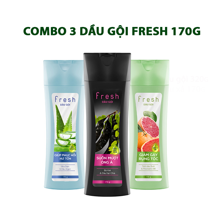 Combo 3 dầu gội Fresh 170g