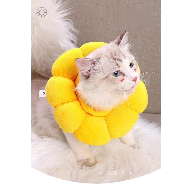 Vòng chống liếm dành cho chó mèo hình hoa cúc.