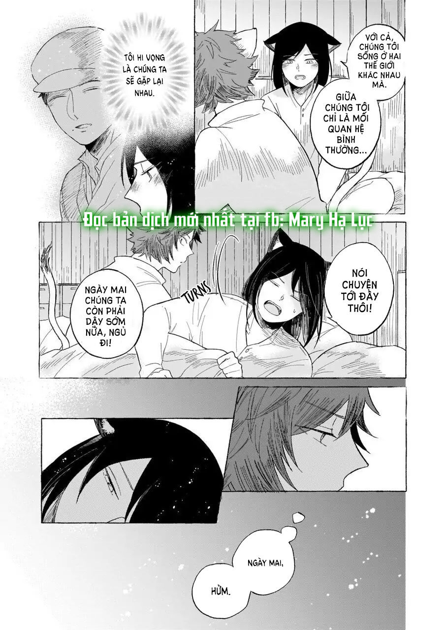 neko mimi omegaverse chapter 5.2 5