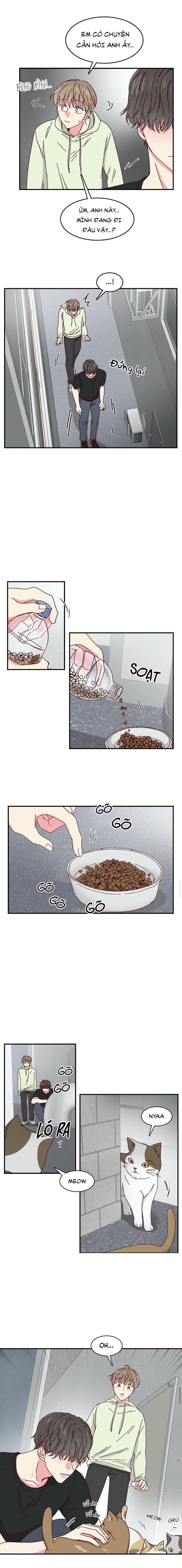 món tráng miệng của sếp tổng chapter 22 3