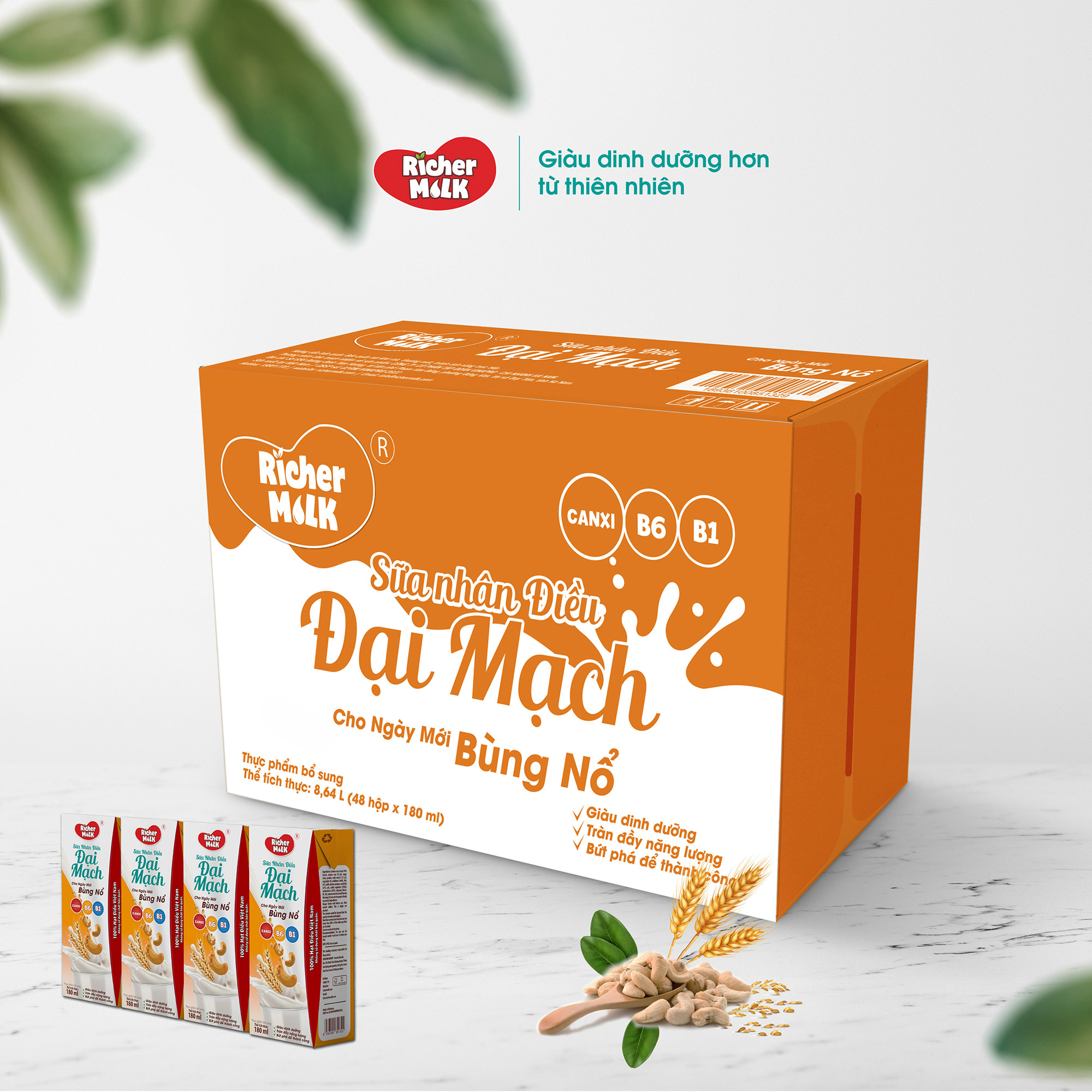 Thùng 48 Hộp Sữa Hạt Điều Đại Mạch RICHER MILK 180ml (180ml x 48)