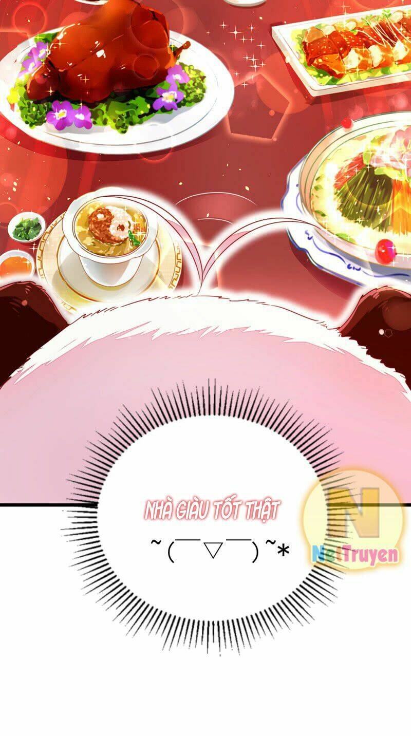 thiên thần gấu trúc muốn được ôm chapter 11 21