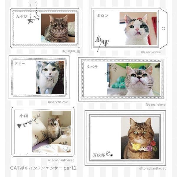 Sách ngoại văn: SNSで人気の有名ねこさんだらけ、応援ワード編! ねこいっぱいシールブック - Neko Ippai Seal Book
