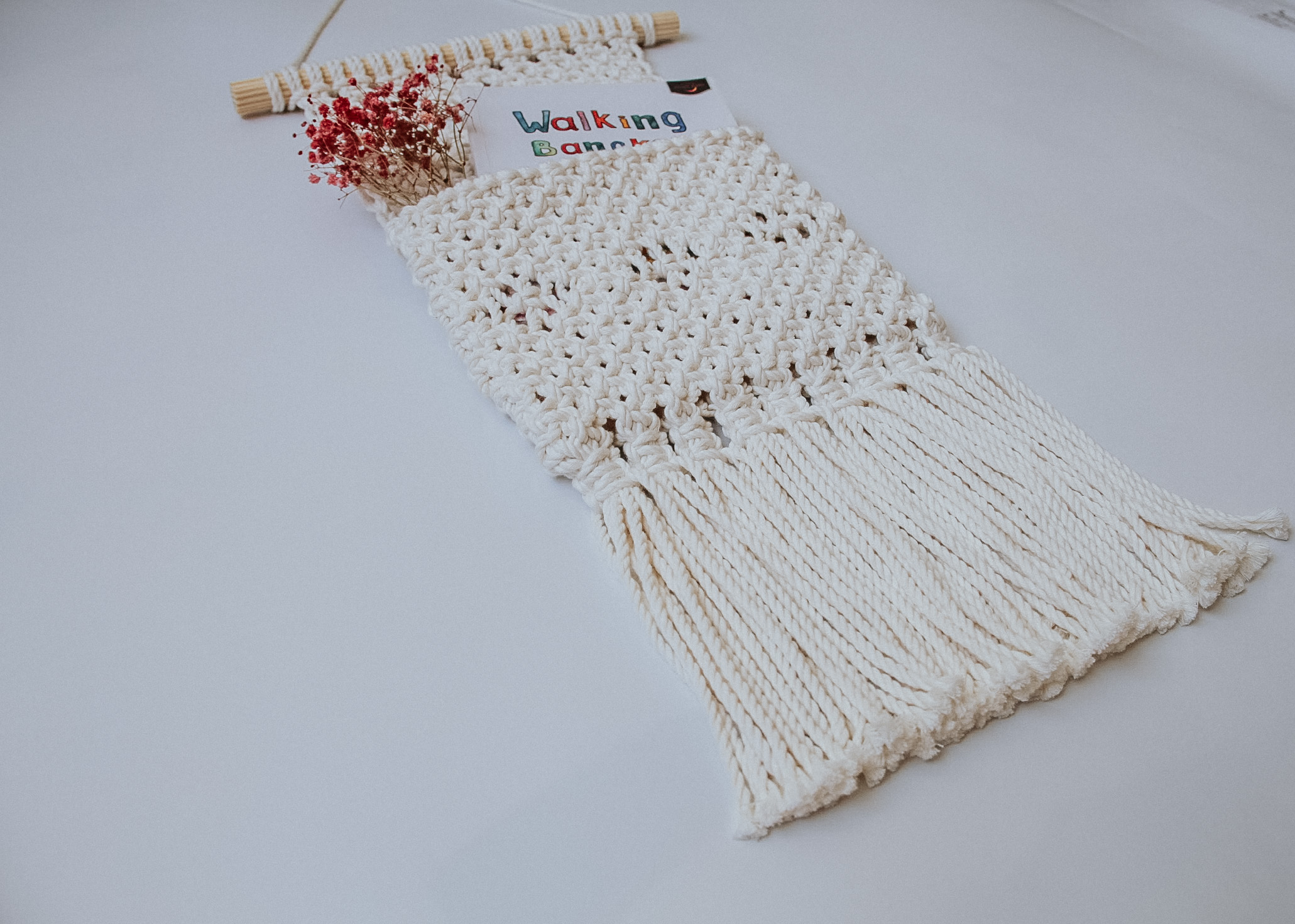 Túi Macrame treo tường tiện lợi TTM03- Đựng đồ tiện dụng, lưu trữ đa năng, trang trí phòng khách, phòng ngủ, quà tặng sinh nhật, tân gia ( Trang trí nhà cửa)