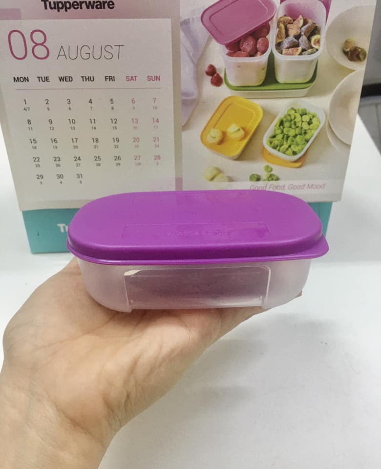 Hộp Trữ Đông Mini TUPPERWARE 140ml