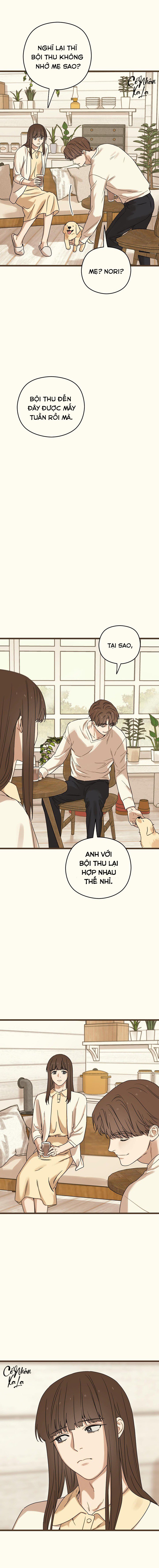 trùng phùng chapter 27 6