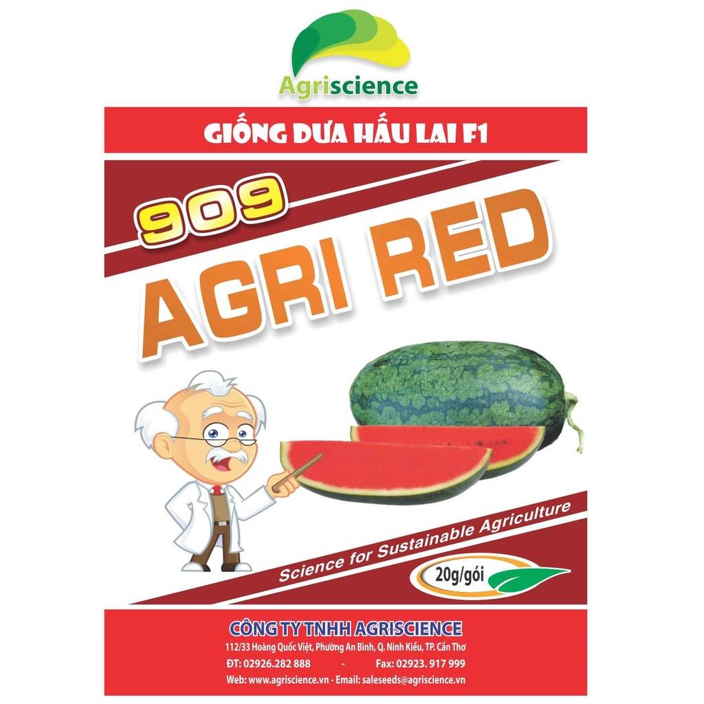 Hạt Giống Dưa Hấu Hắc Mỹ Nhân - Agri RED 909 -