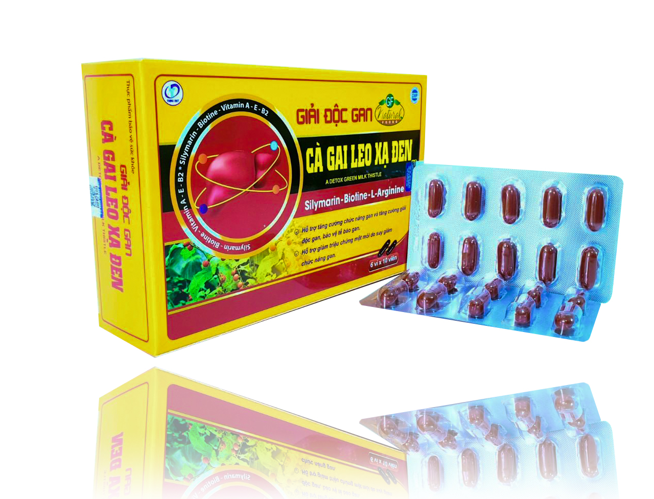 Cà Gai Leo Xạ Đen - Viên Uống Bổ Gan, Giải Độc Gan, Tăng Cường Chức Năng Gan