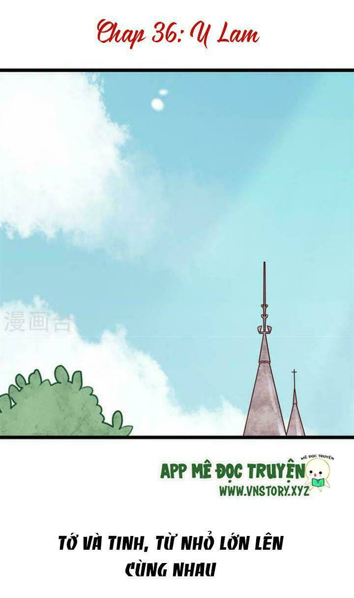 sau con mưa mùa hạ chapter 36 1
