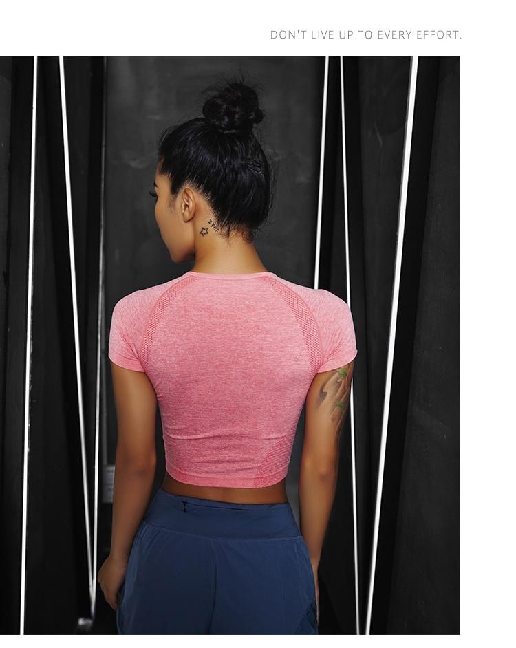 Áo Thun Nữ Ngắn Tay Cổ Tròn Hở Eo Thời Trang