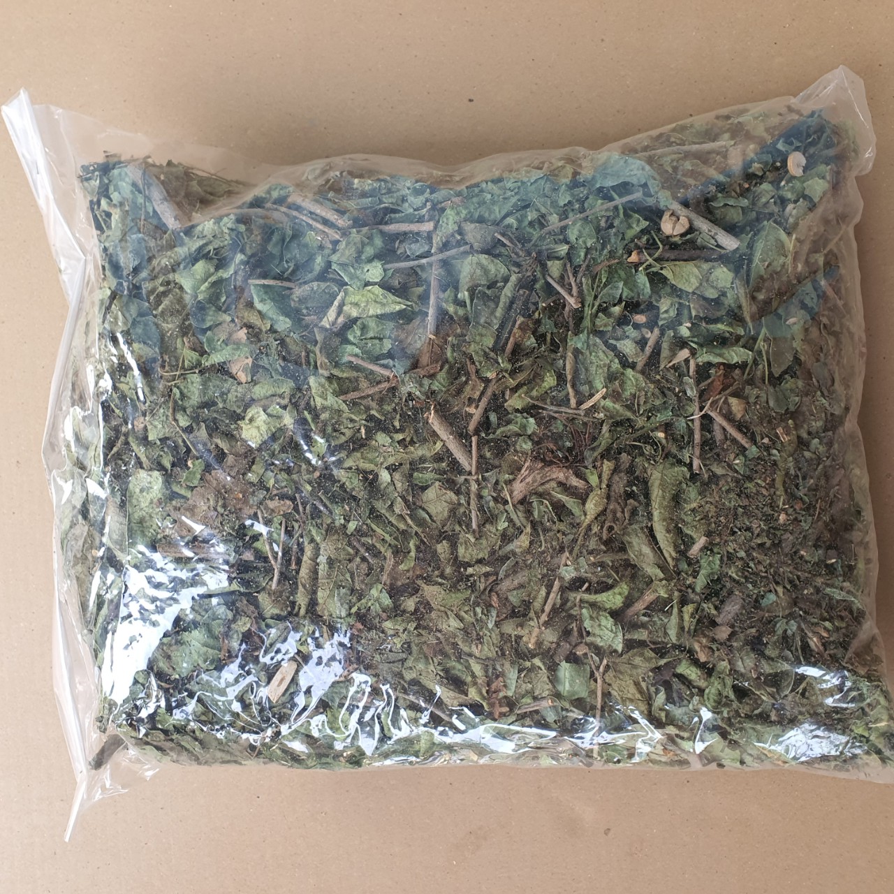 Xạ Đen Hòa Bình phòng ngừa và hỗ trợ ung bướu