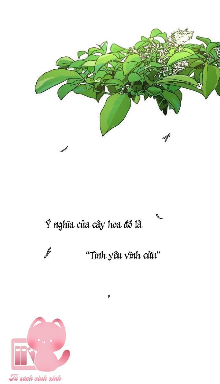 xin chào, mùa hạ chapter 1 3