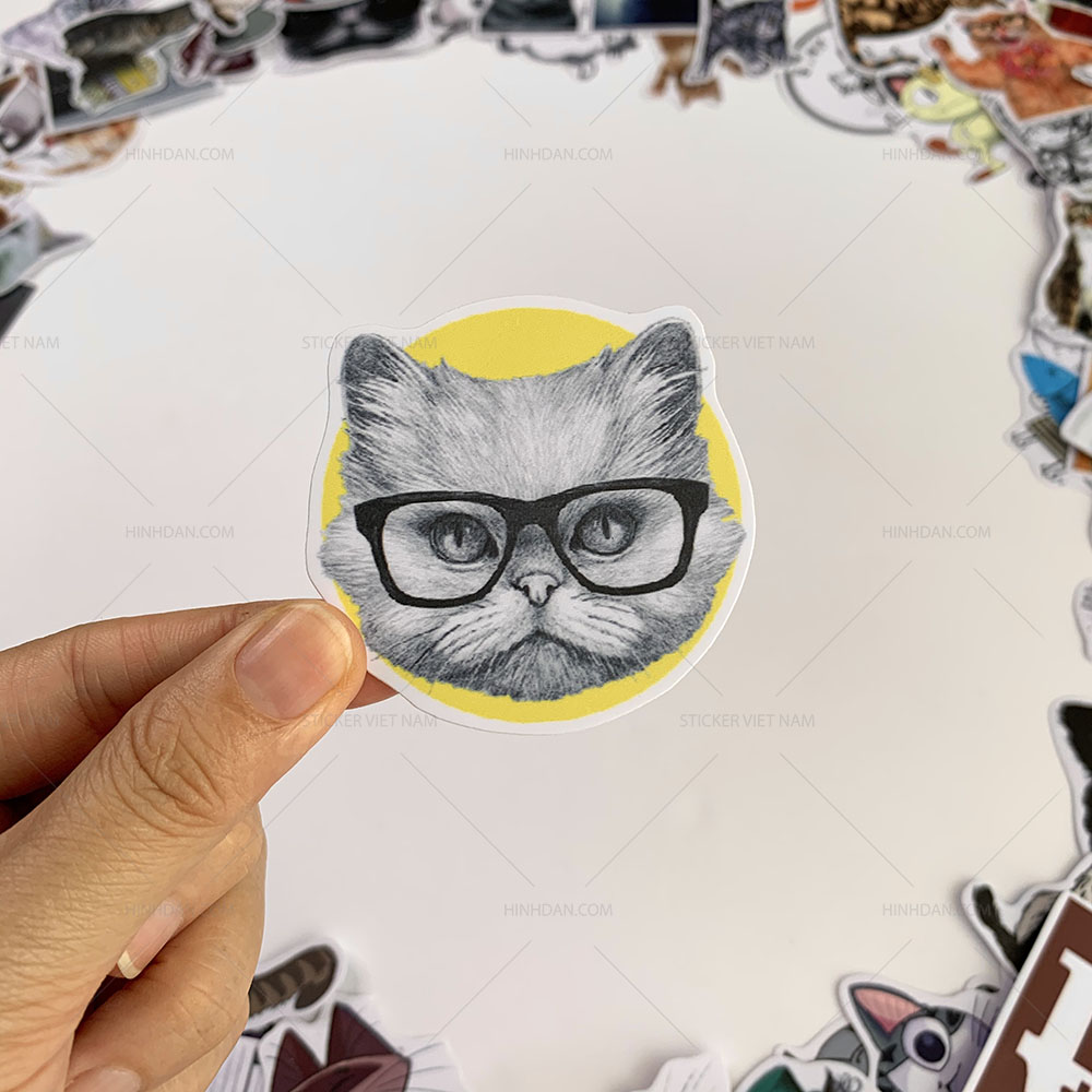 Bộ sticker chủ đề Mèo - Cat - Boss 2019, decal hình dán thú cưng chống nước, trang trí nón bảo hiểm, điện thoại, lap top ...