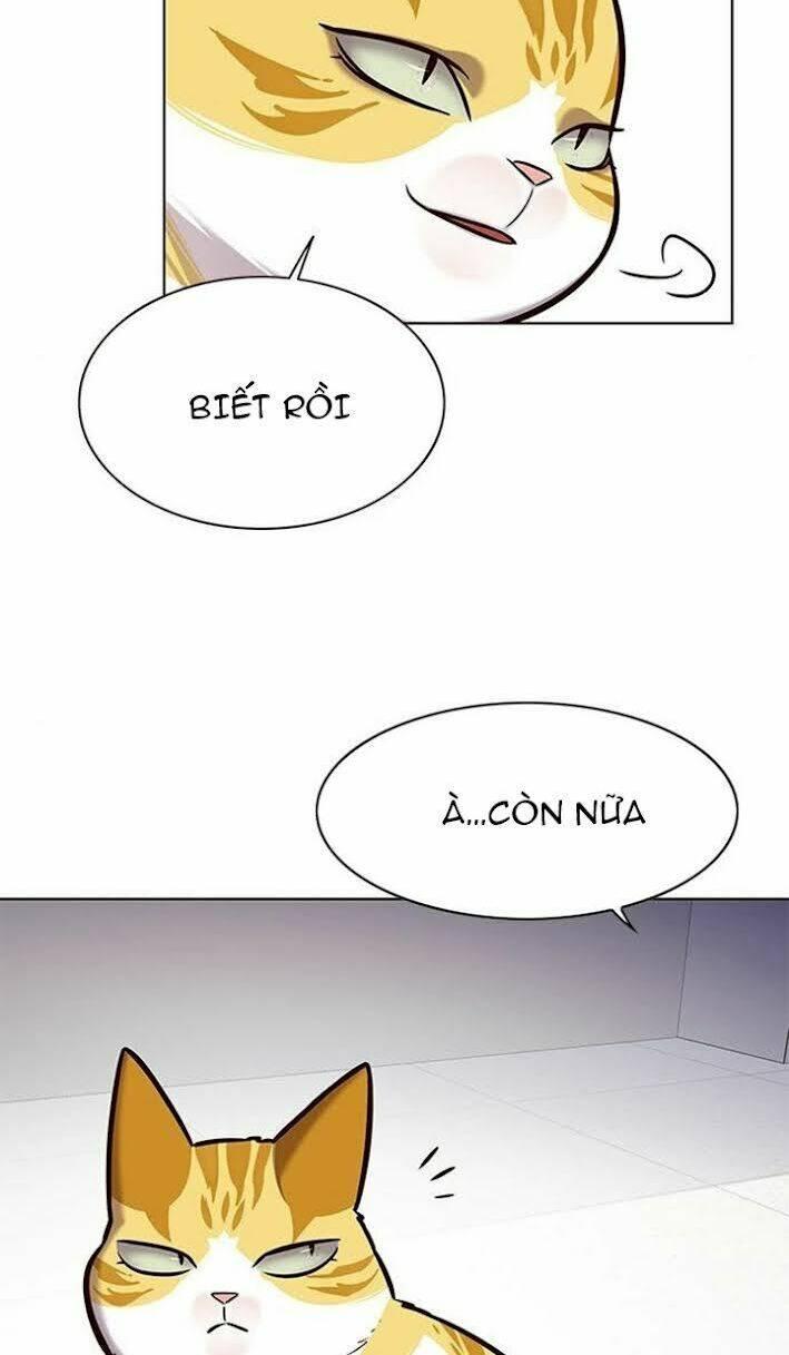 biến thân thành mèo chapter 166 13