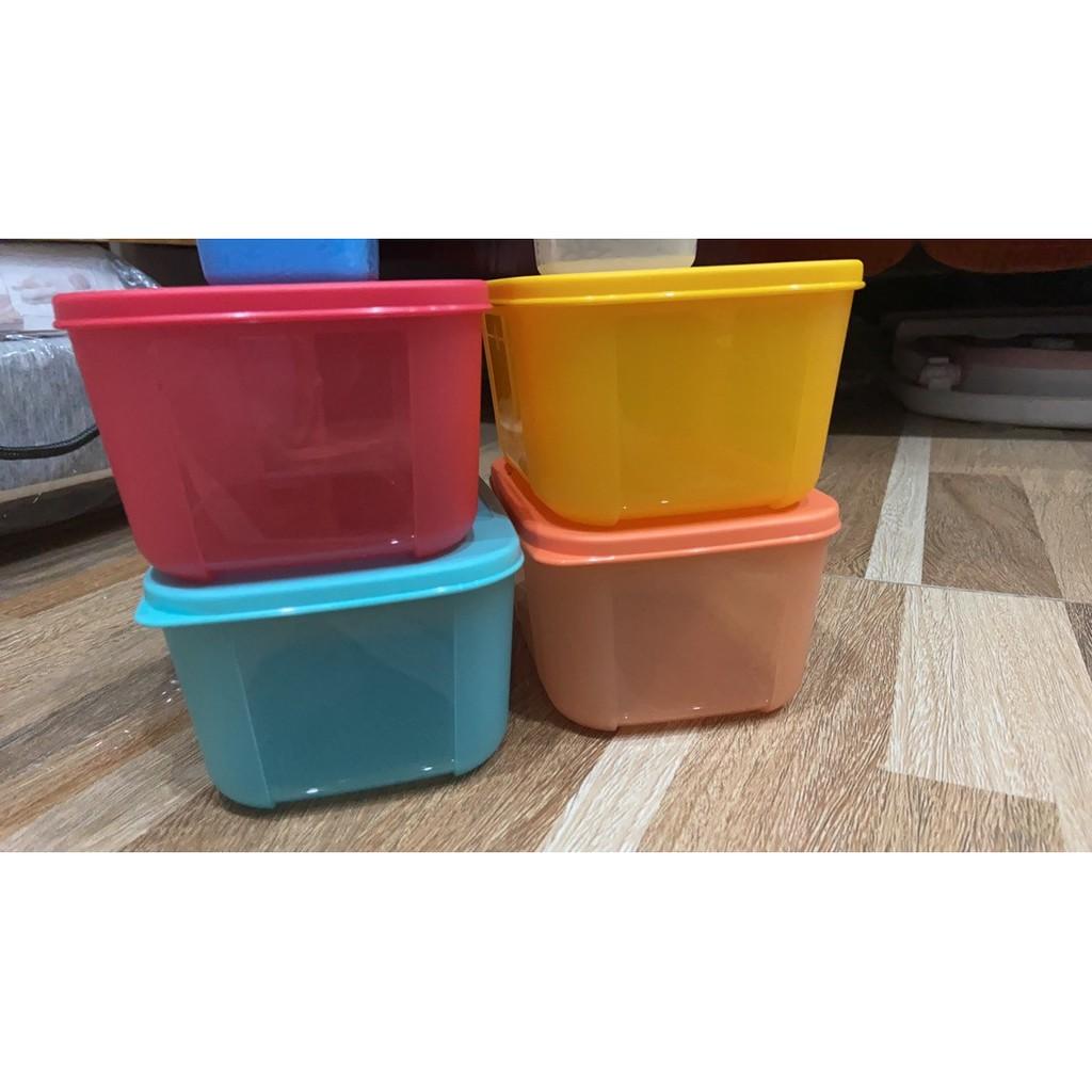 Bộ Hộp Trữ Đông Freezermate Rainbow Tupperware, Hộp Bảo Quản Thực Phẩm, Nhựa Nguyên Sinh An Toàn