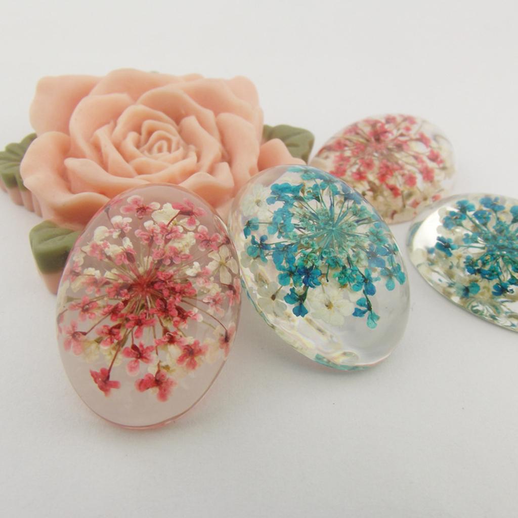 10 Pieces Natural Pressed Dried Sakura Flower Cherry Blossom for DIY Arts Crafts