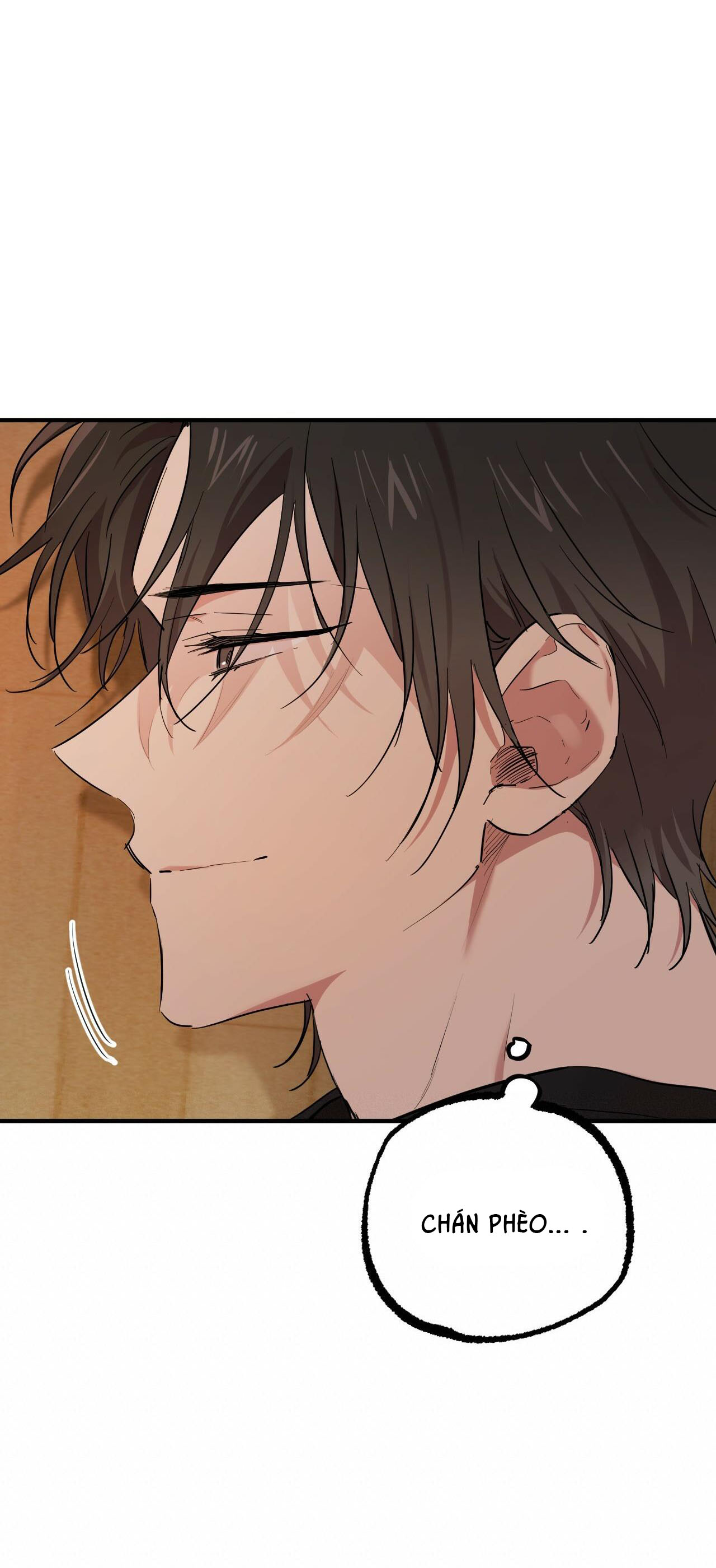 những chú thỏ của hapypy chapter 13 67