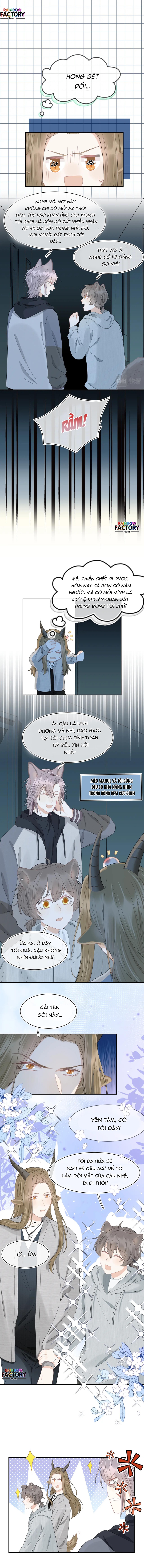 ăn một bé thỏ chapter 62 4