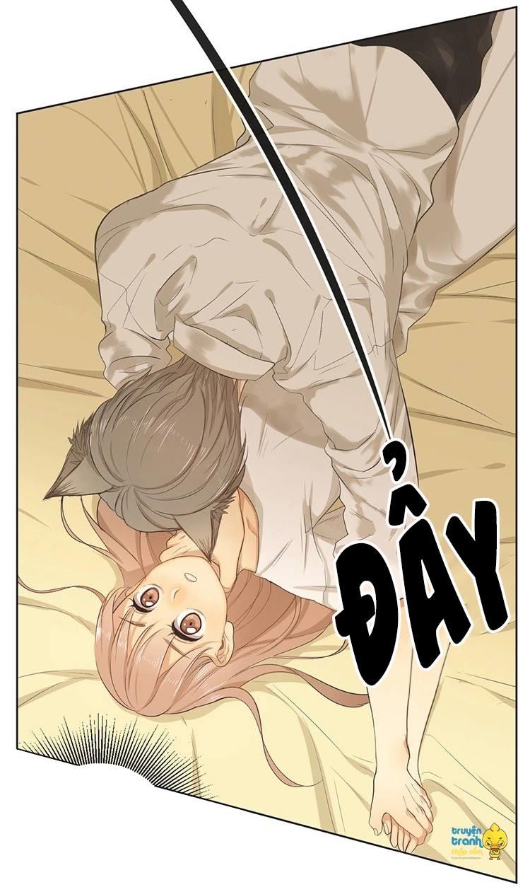 cứu mạng ! loài mèo thống trị thế giới rồi ! chapter 16 7