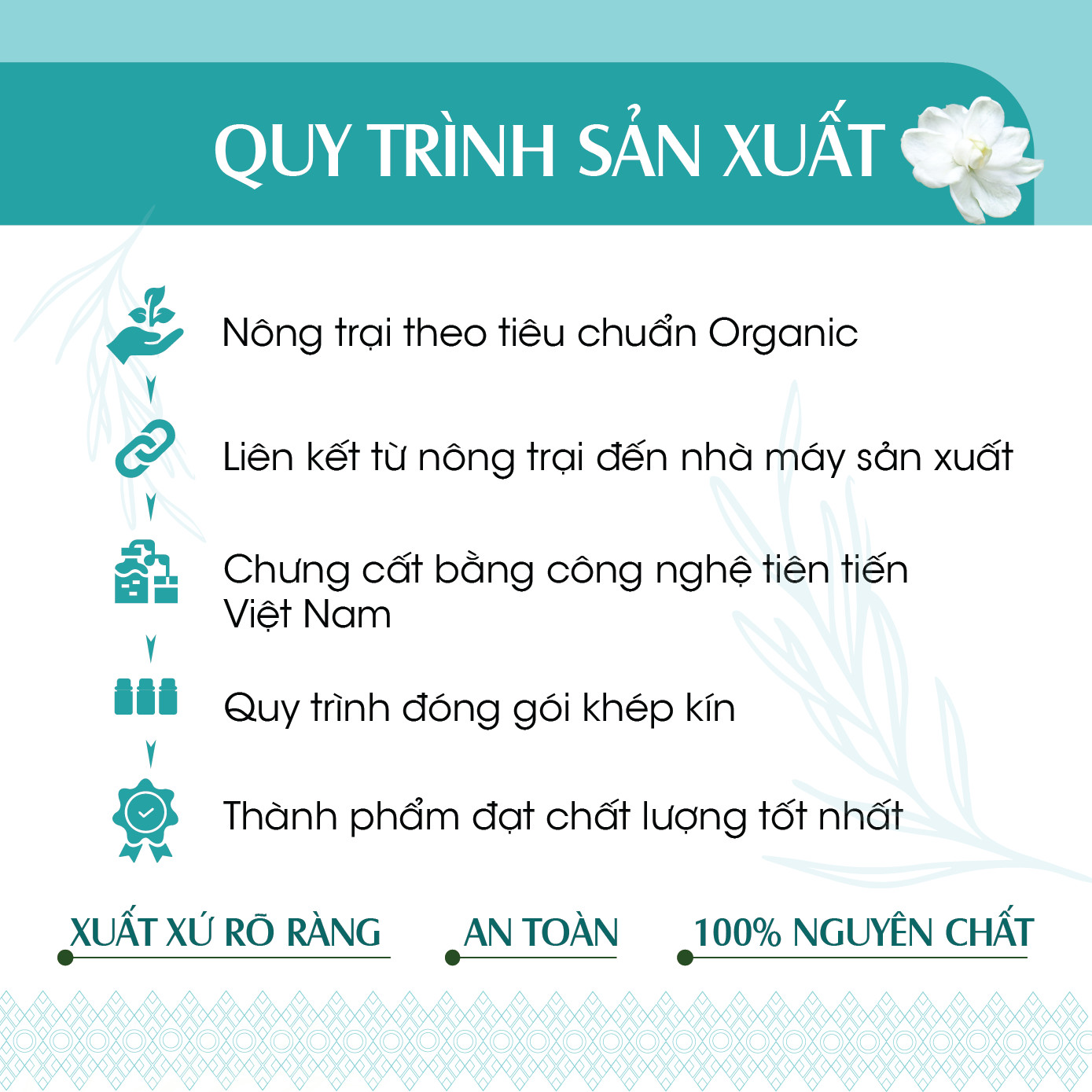 Combo 2 Tinh dầu Quýt + Bạc Hà 24Care 10ml/Chai