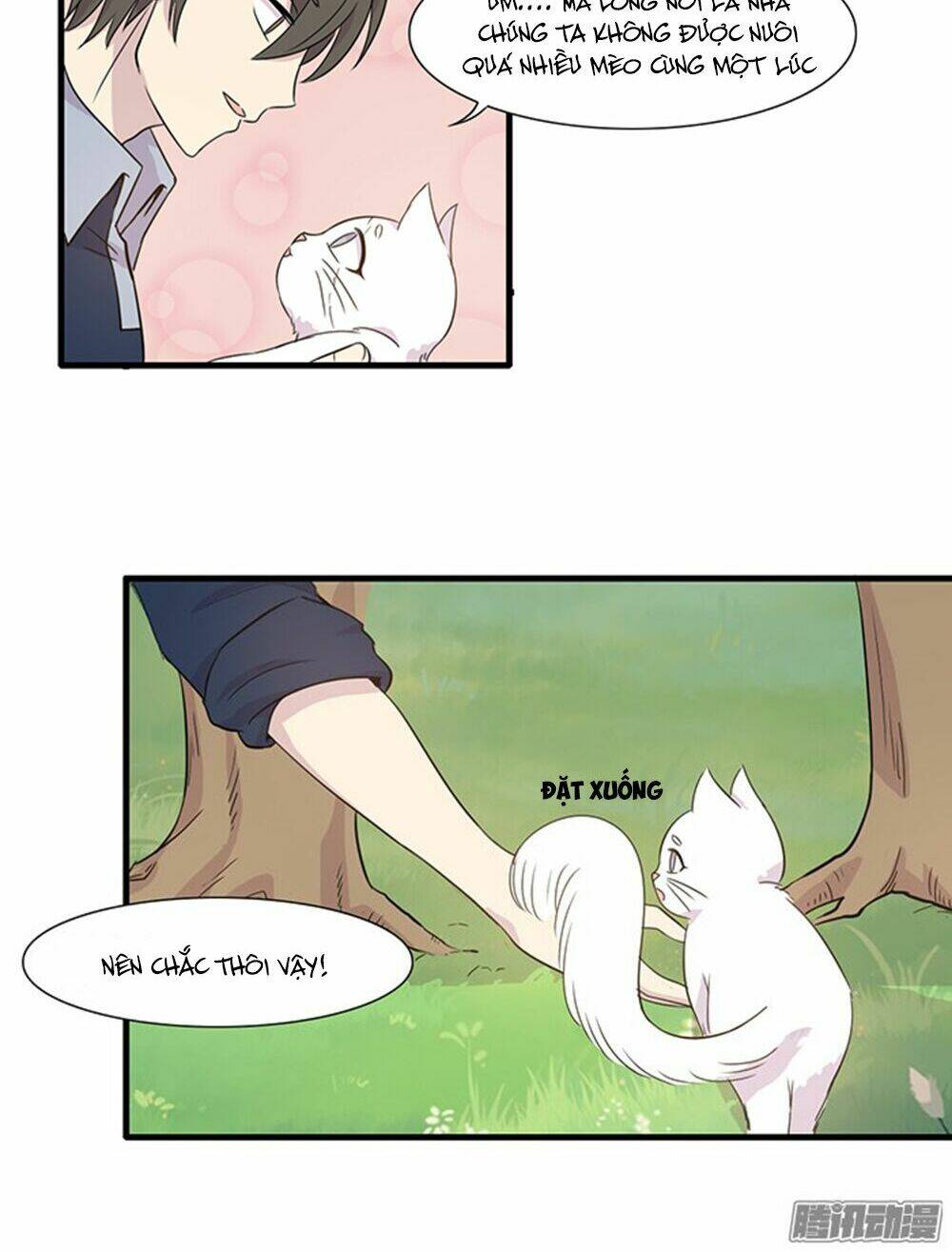 hai chú mèo totem chapter 13 13