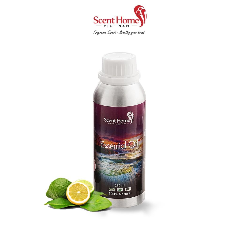 Tinh dầu Scent Homes - mùi hương