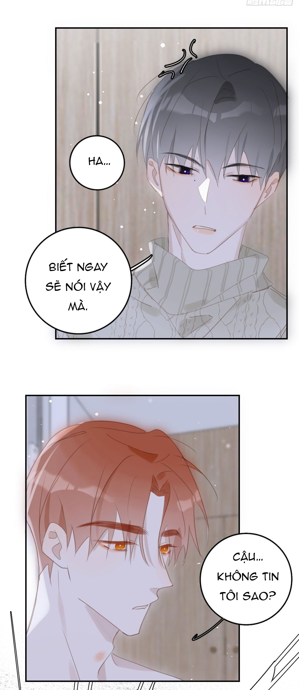 đêm đầy sao nói với em chapter 50 21