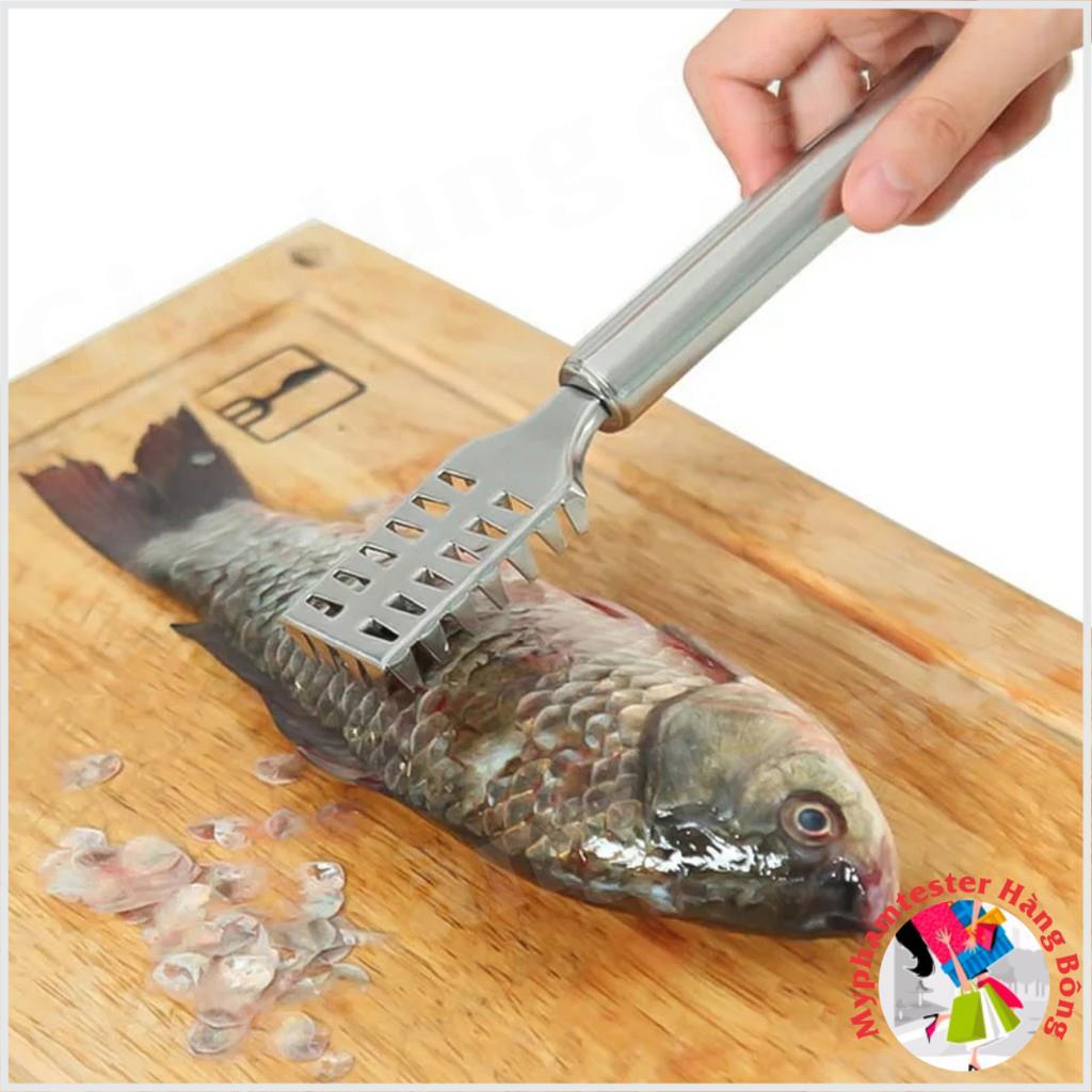 Dụng cụ đánh vẩy cá inox