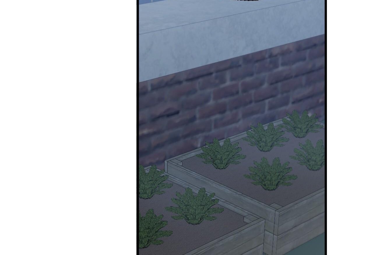 những chú thỏ của hapypy chapter 61 79