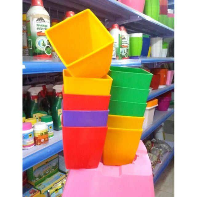 10 Chậu Trồng Hoa V16 các màu