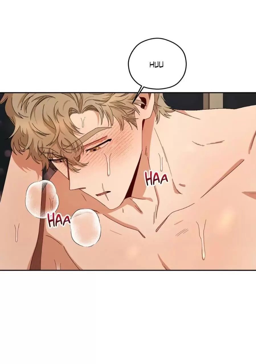 liveta chapter 13 37