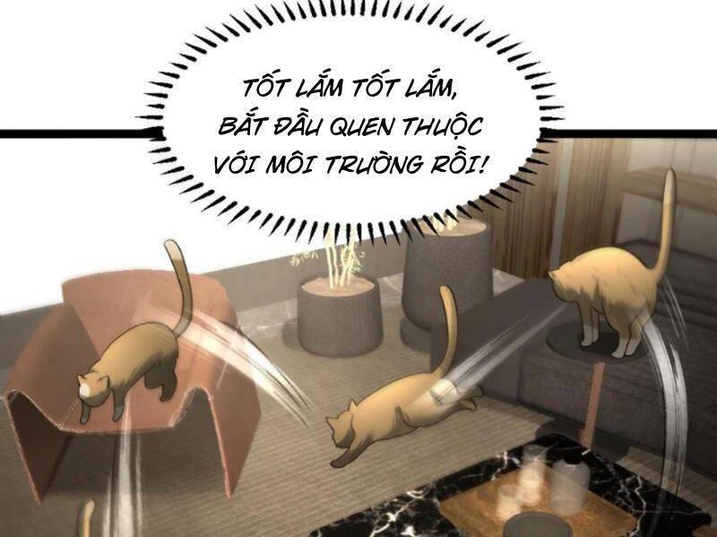 đóng băng toàn cầu: tôi gây dựng nên phòng an toàn thời tận thế chapter 176 44