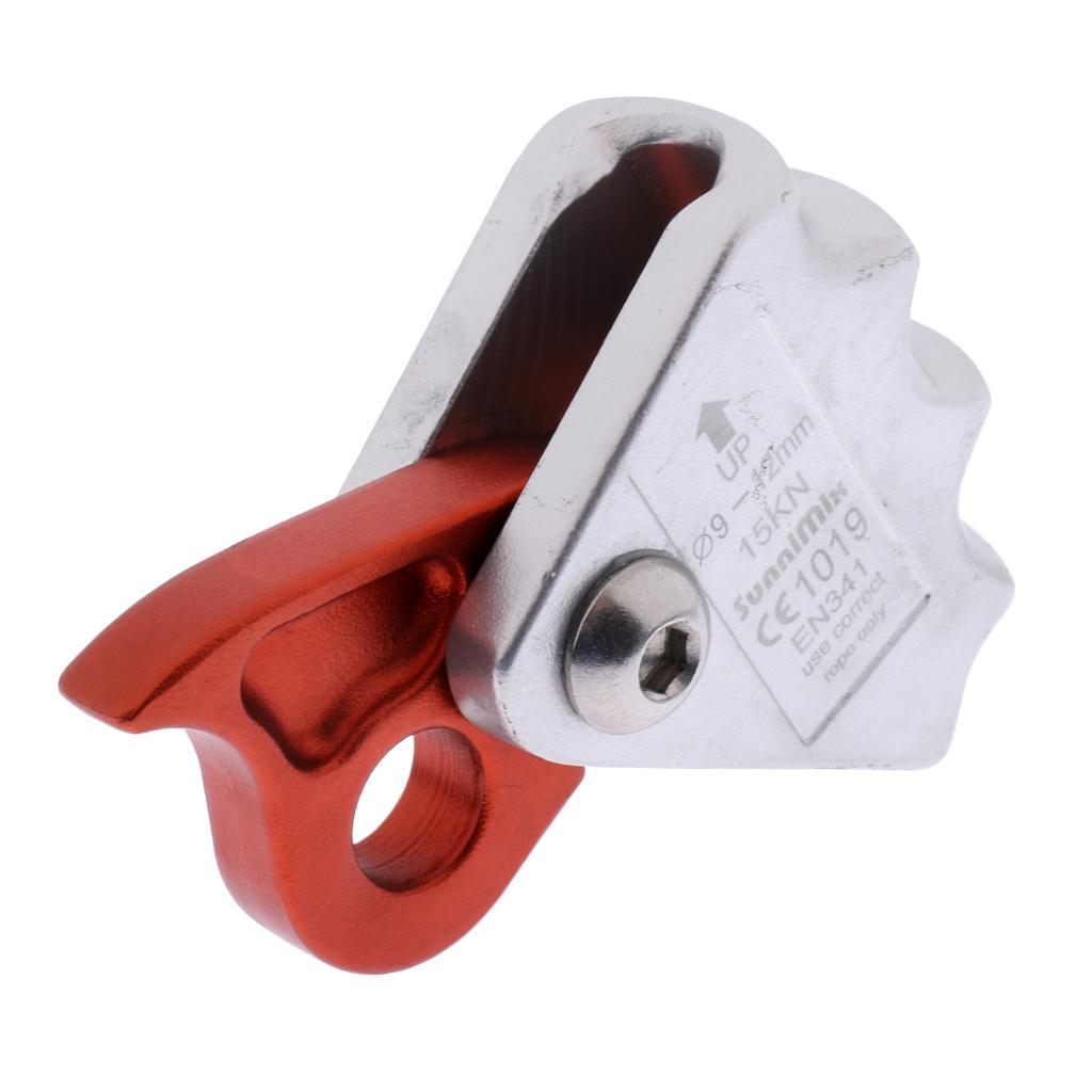 Safety Outdoor Rock Climbing Tree Arborist Caving Rescue 15KN Rope Grab Protecta with 25KN Screwgate Locking Carabiner
