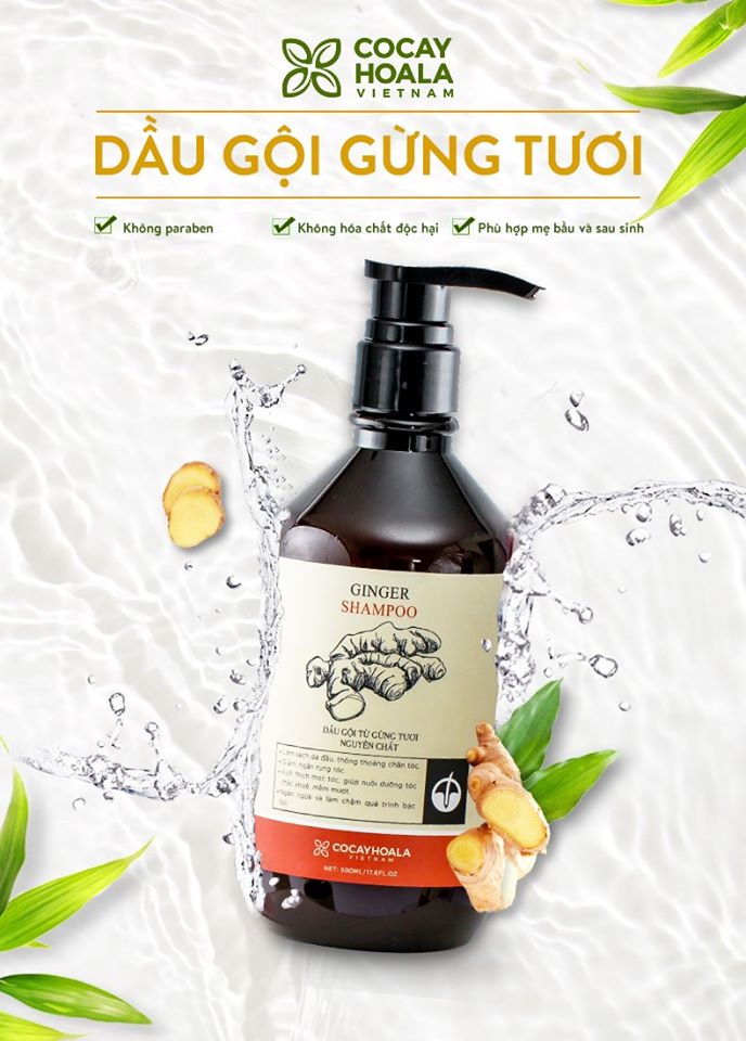 Combo Dầu gội,xả gừng - COCAYHOALA