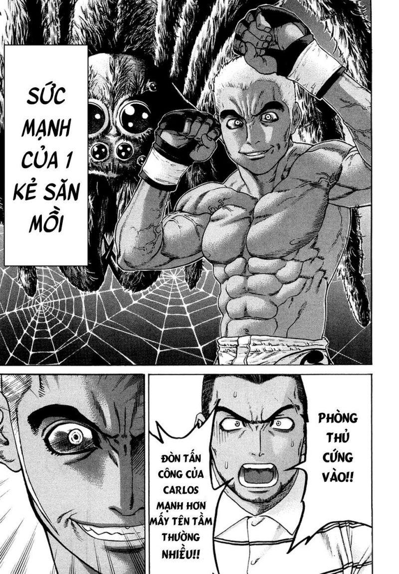 karate shoukoushi kohinata minoru chapter 205 15