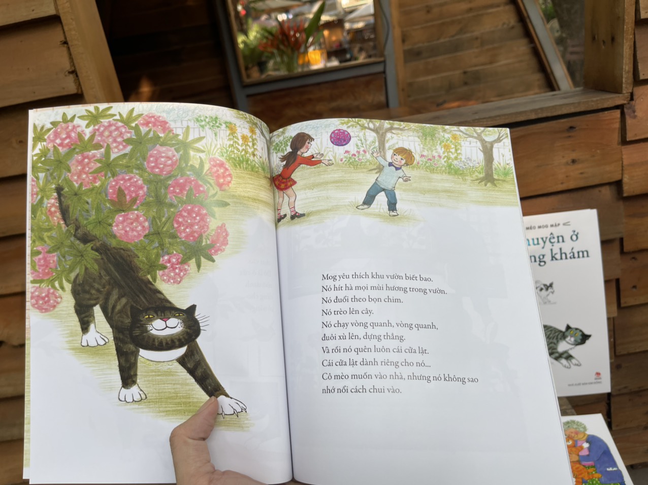 MÈO MOG MẬP – Judith Kerr – Hằng Nga dịch – NXB Kim Đồng