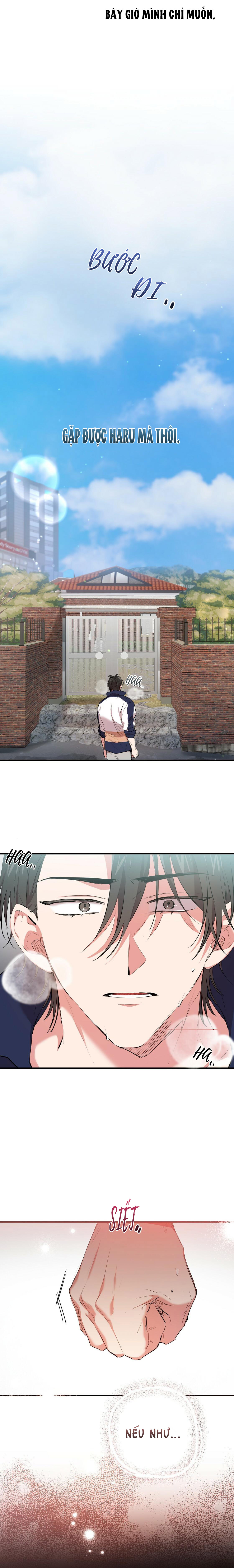 những chú thỏ của hapypy chapter 23 14