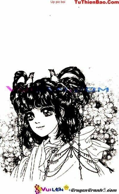 đóa hoa yêu kiều chapter 5 44