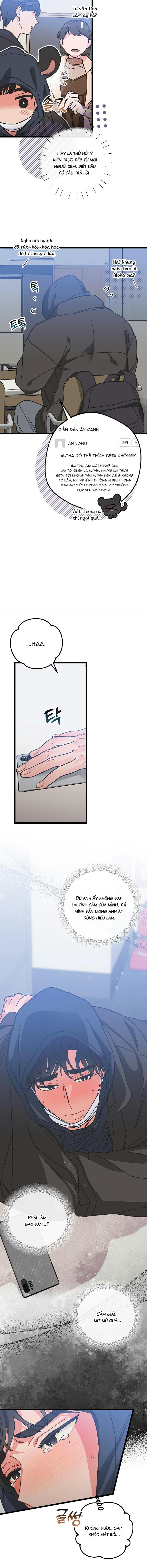 alpha thì có sao? chapter 5 17