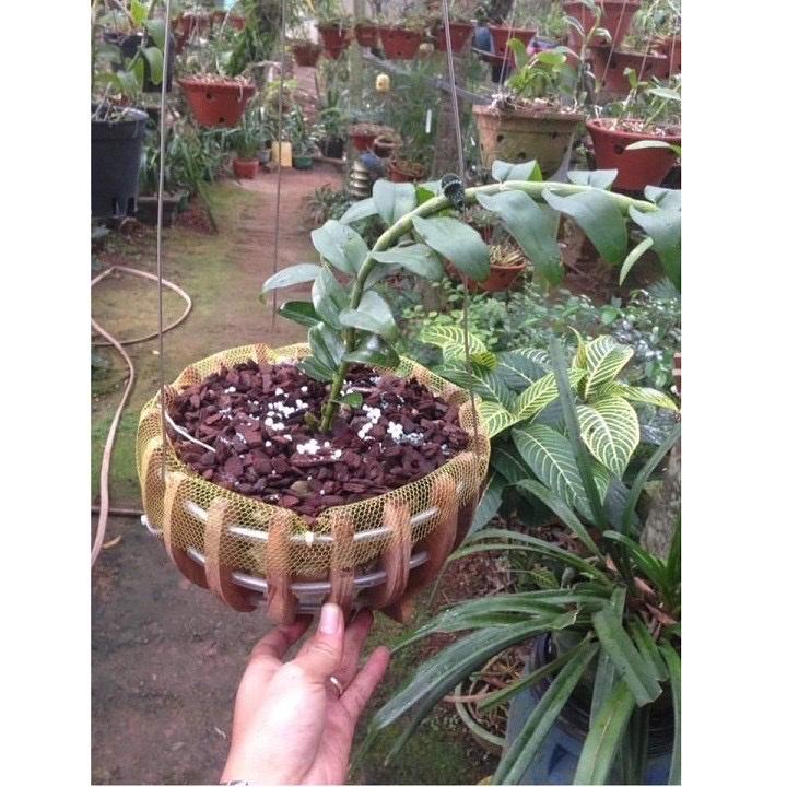 100gr Lưới Lót Chậu Cây Trồng Phong Lan Giữ Giá Thể