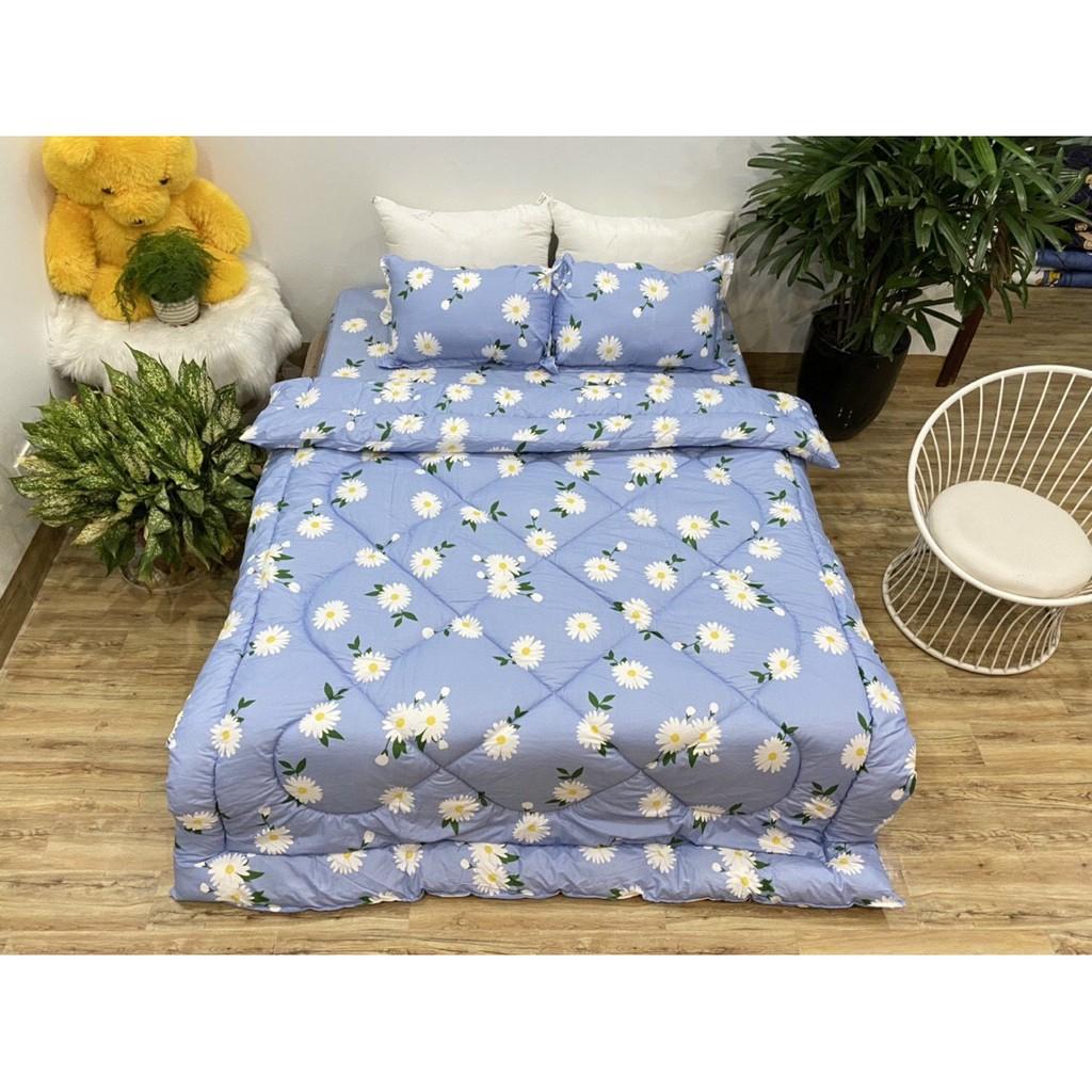 Bộ ga poly côtng 5 món nhiều mẫu cho giường 1m6*2m