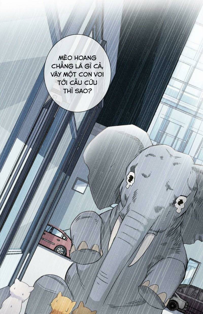 dạ thị chi chủ chapter 20 35